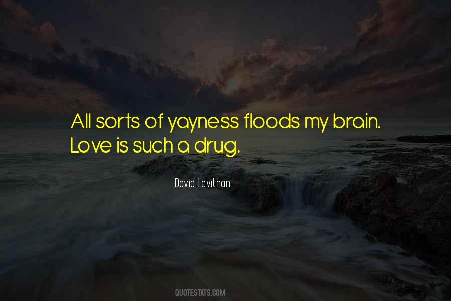 Divorce Hurts Quotes #1652586