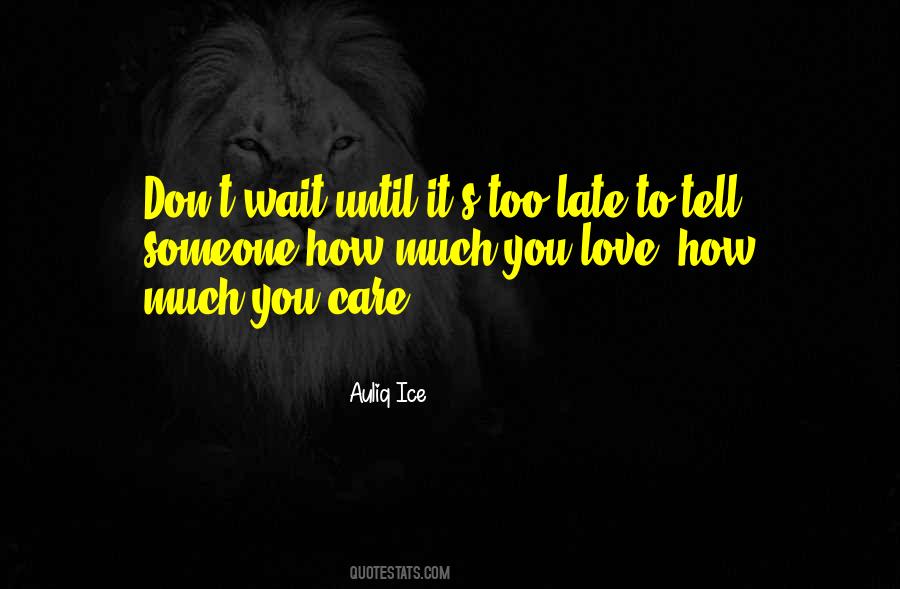 Care Too Much Quotes #244632