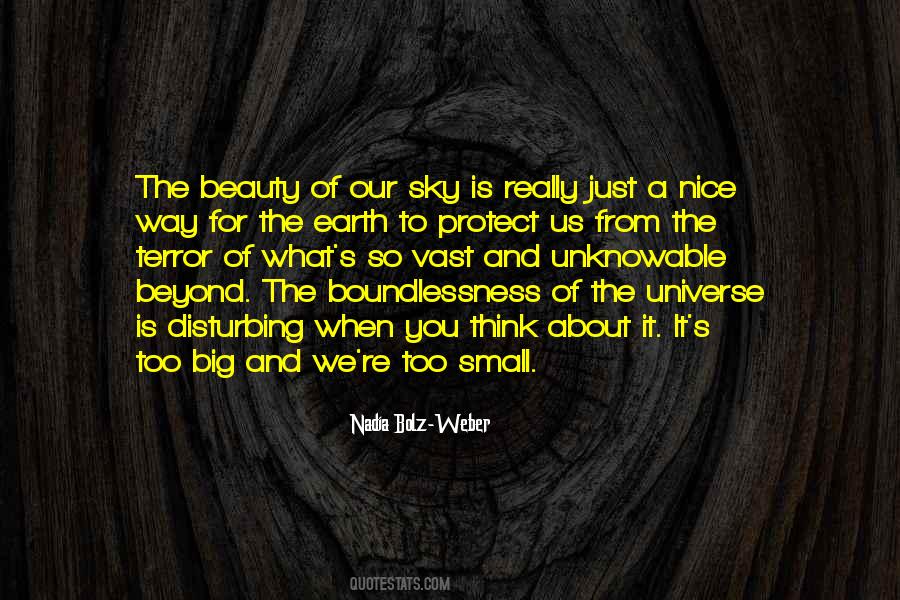 The Beauty Of The Sky Quotes #1193321