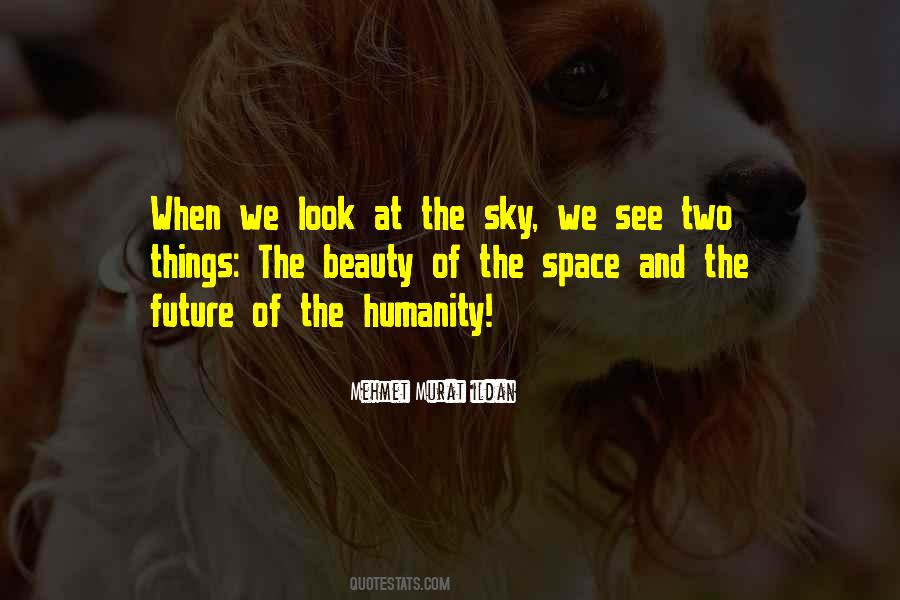 The Beauty Of The Sky Quotes #1498607