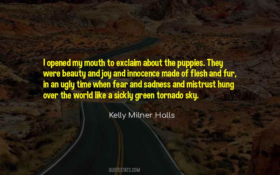 The Beauty Of The Sky Quotes #495703