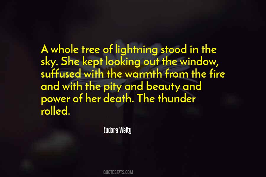 The Beauty Of The Sky Quotes #737331