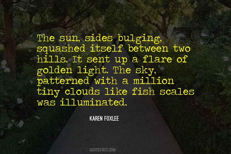 The Beauty Of The Sky Quotes #77031