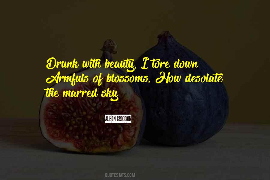 The Beauty Of The Sky Quotes #90551