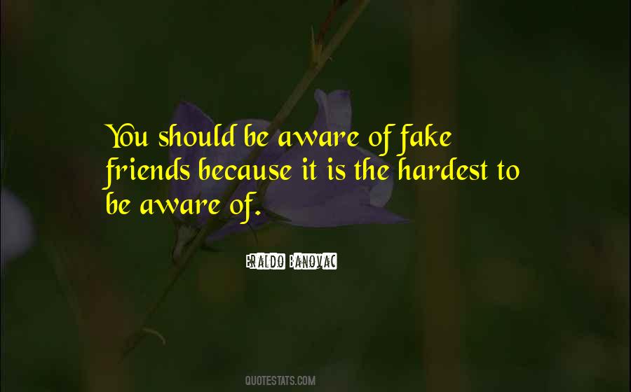 Best Friends Philosophy Quotes #194822