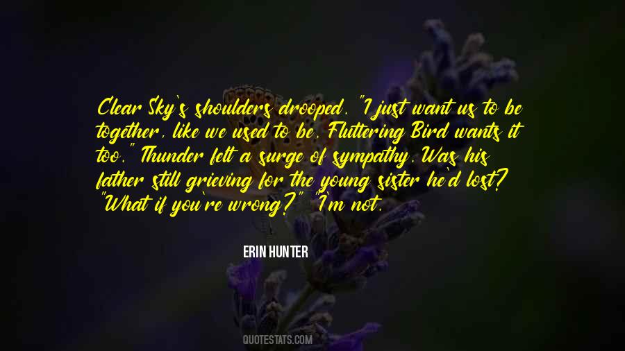 I Just Want Us Quotes #1828508