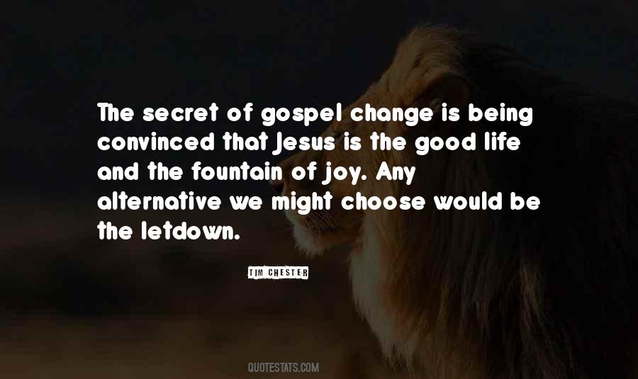 The Joy Of The Gospel Quotes #1301029