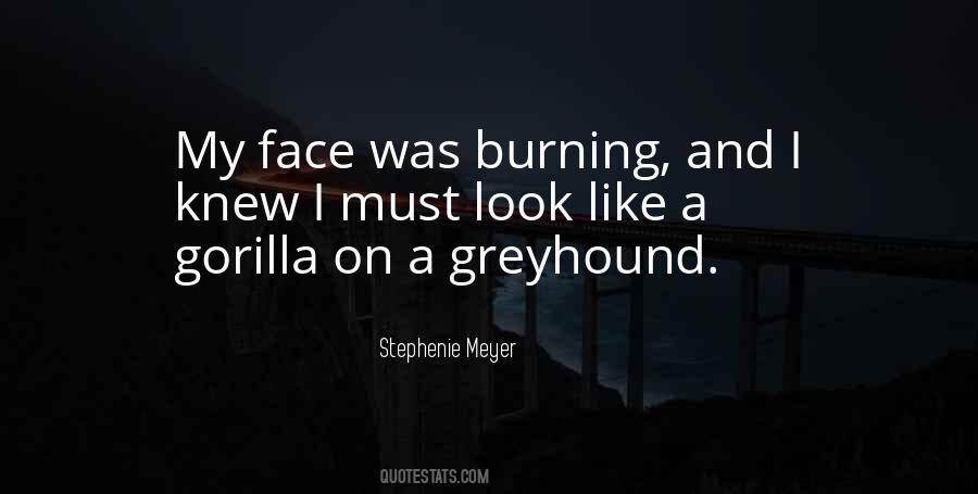 Quotes About Greyhound #1386984