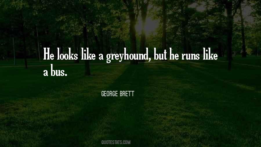 Quotes About Greyhound #1566020