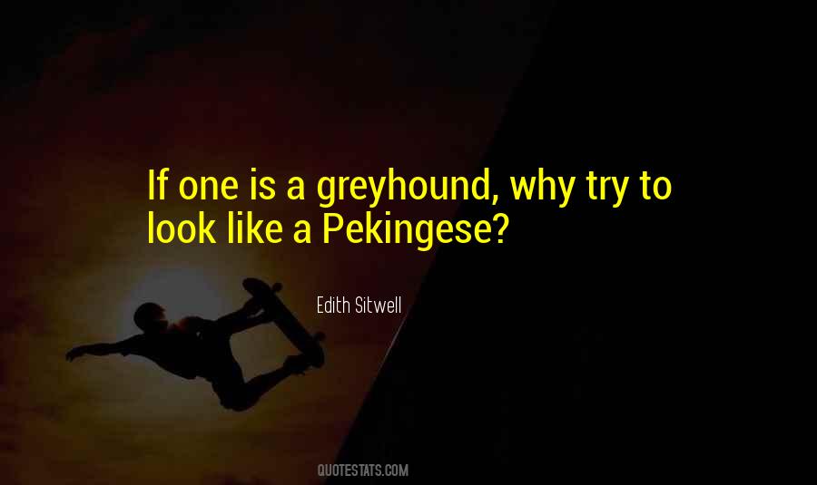 Quotes About Greyhound #320541