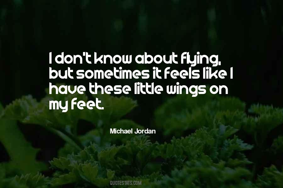 About Flying Quotes #420723