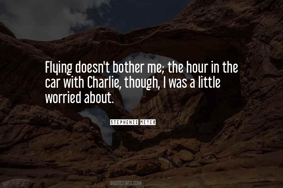 About Flying Quotes #562261