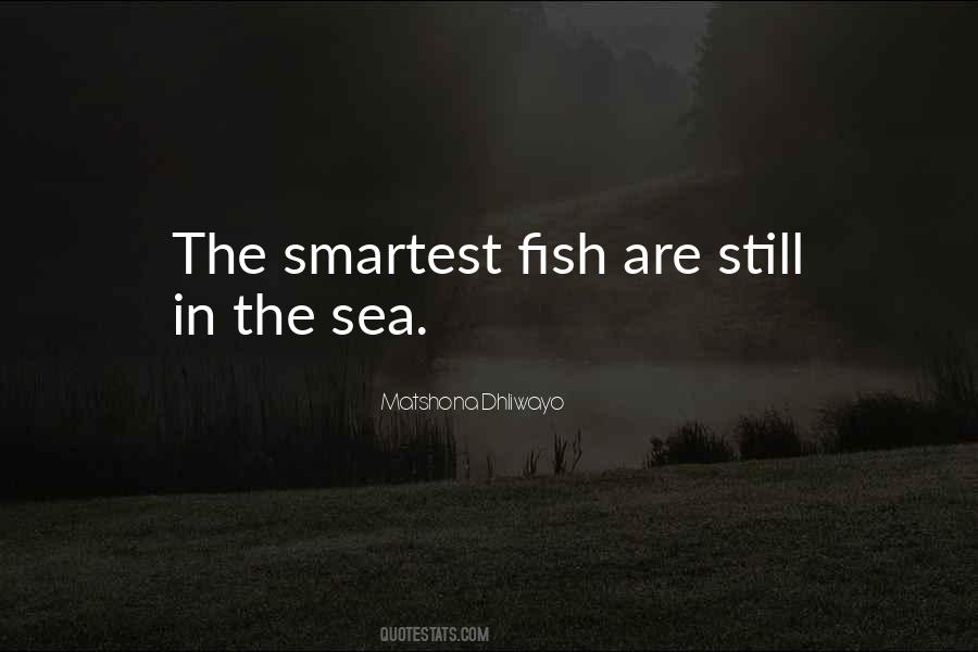 Fish Intelligence Quotes #696710