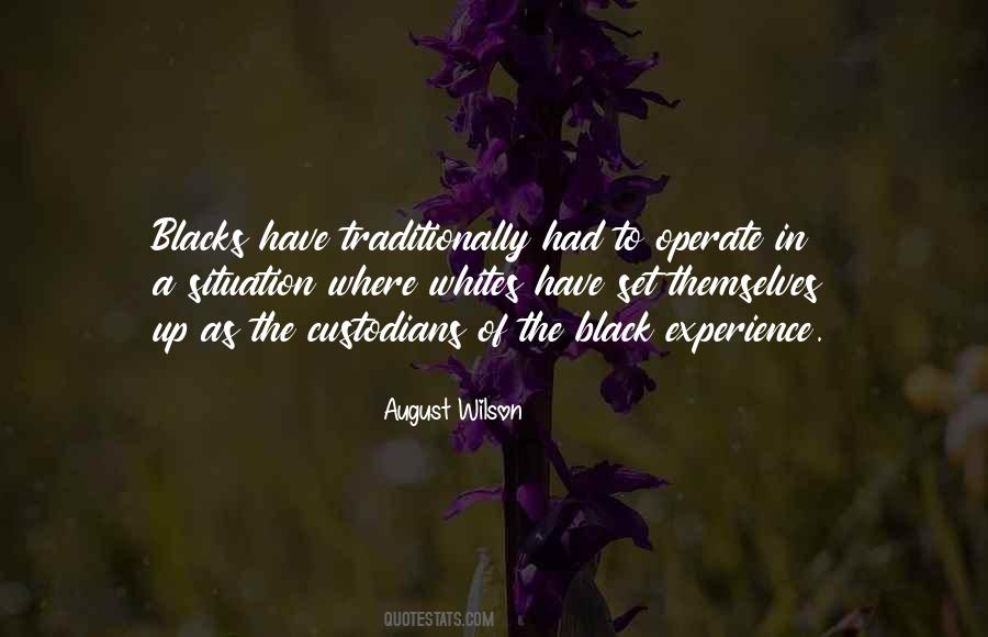 Quotes About The Black Experience #997028