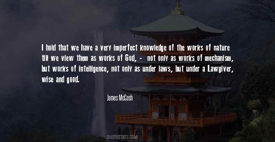 The Imperfect I Quotes #1487001