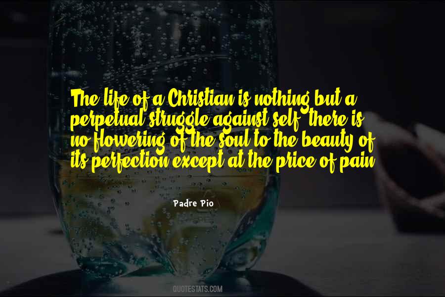 Quotes About Self Struggle #1297845