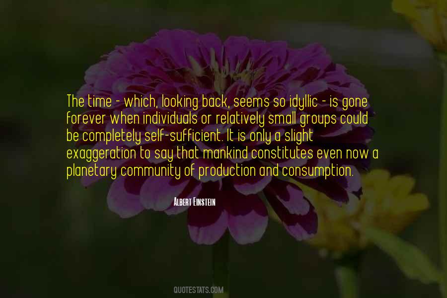 When Looking Back Quotes #1111206
