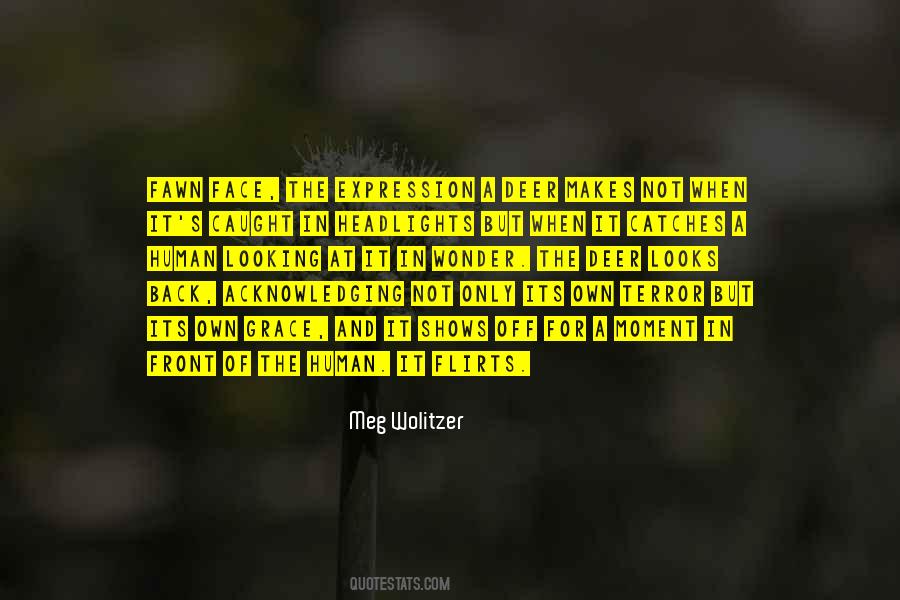 When Looking Back Quotes #409640