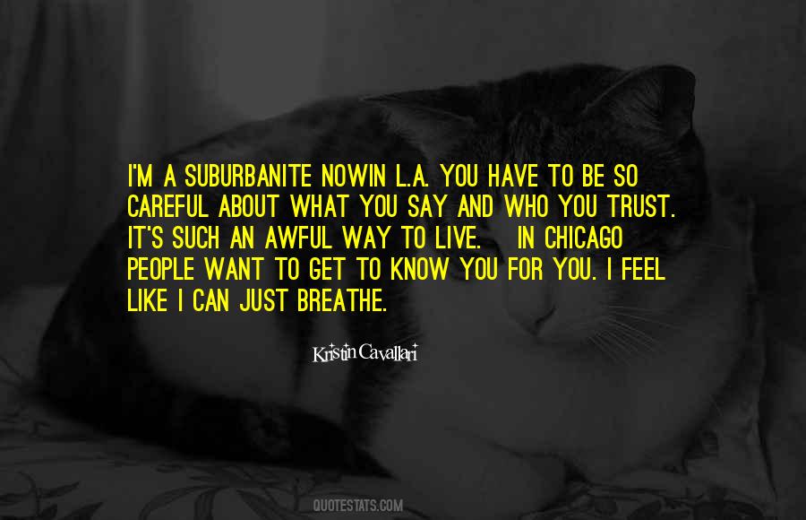 You Know What I Like About You Quotes #244725