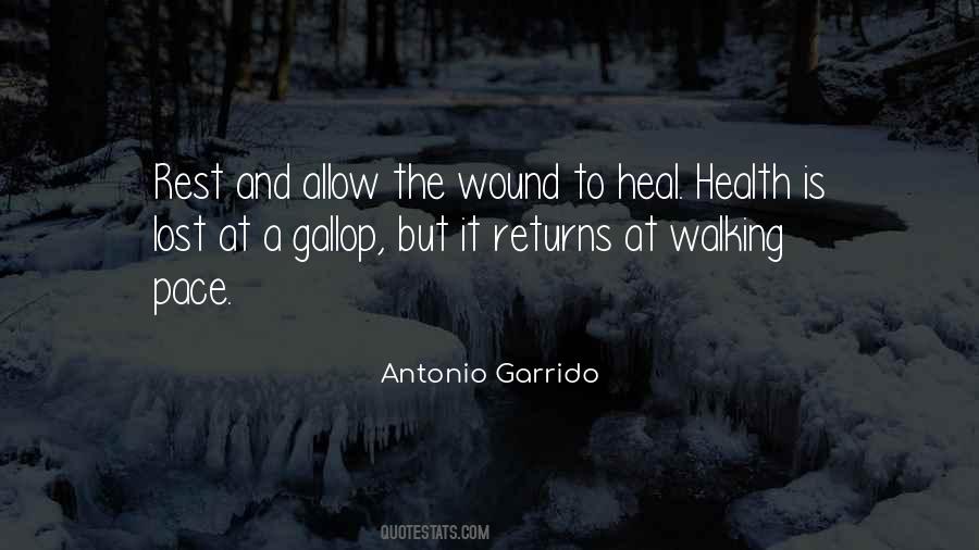 Wound Will Heal Quotes #143246