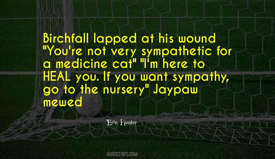 Wound Will Heal Quotes #866651