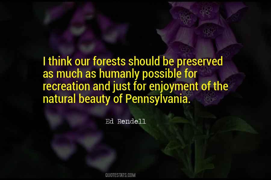 The Natural Beauty Quotes #974054