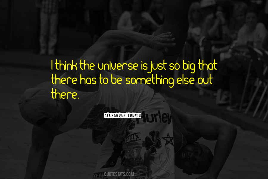 The Universe Is Big Quotes #1124507