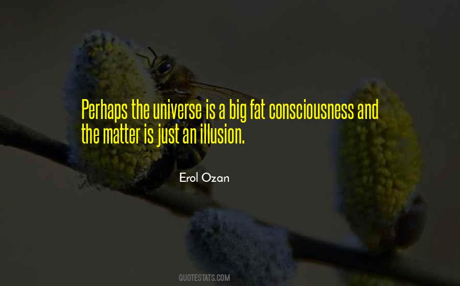The Universe Is Big Quotes #1750225