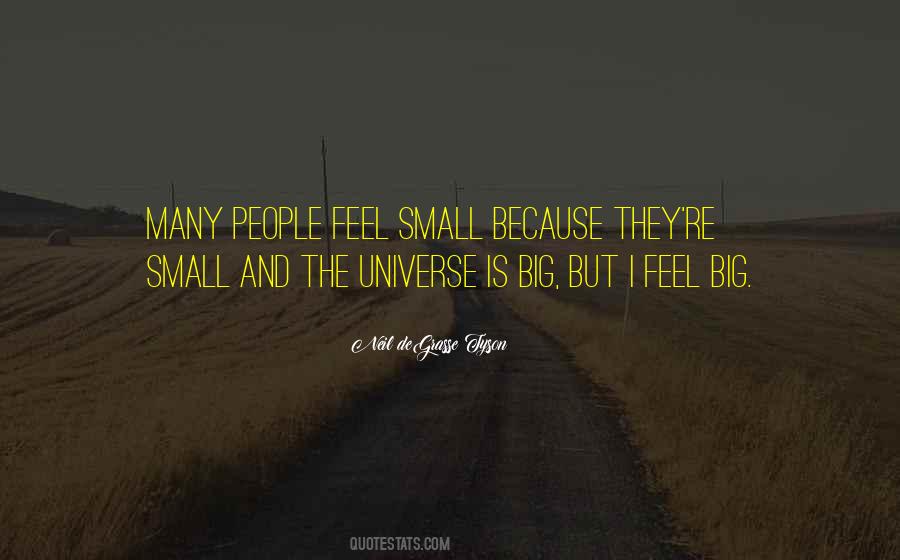 The Universe Is Big Quotes #1824387
