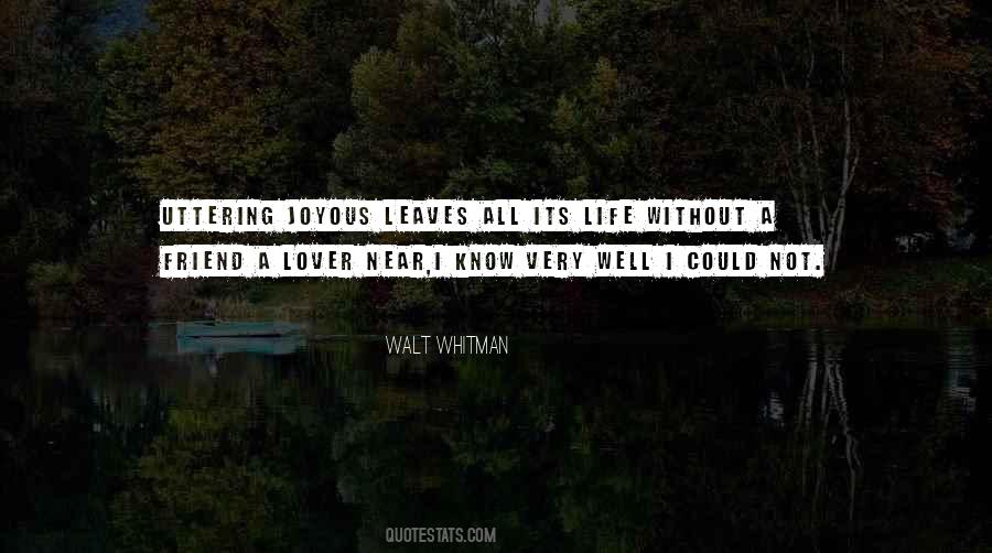 Friend Lover Quotes #606618