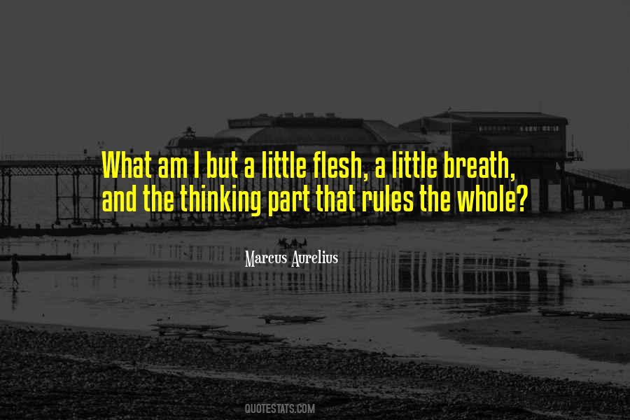 Picking Me Apart Quotes #830681