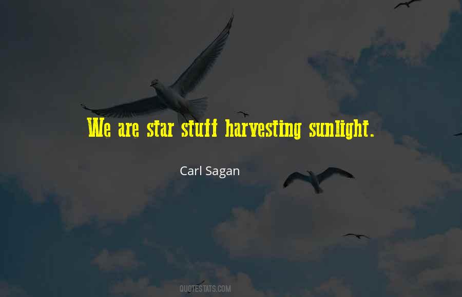 We Are Star Stuff Quotes #1768056