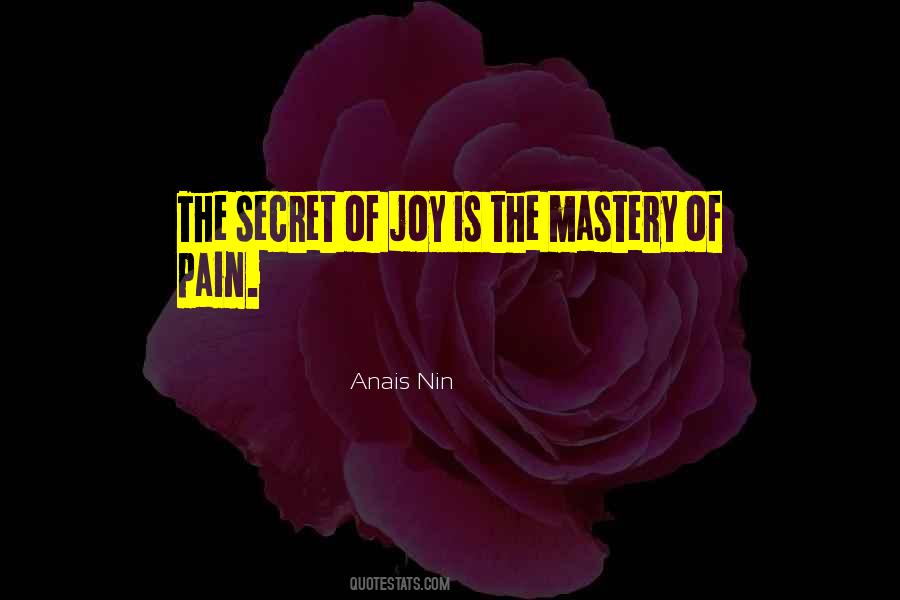 Secret Pain Quotes #1710503