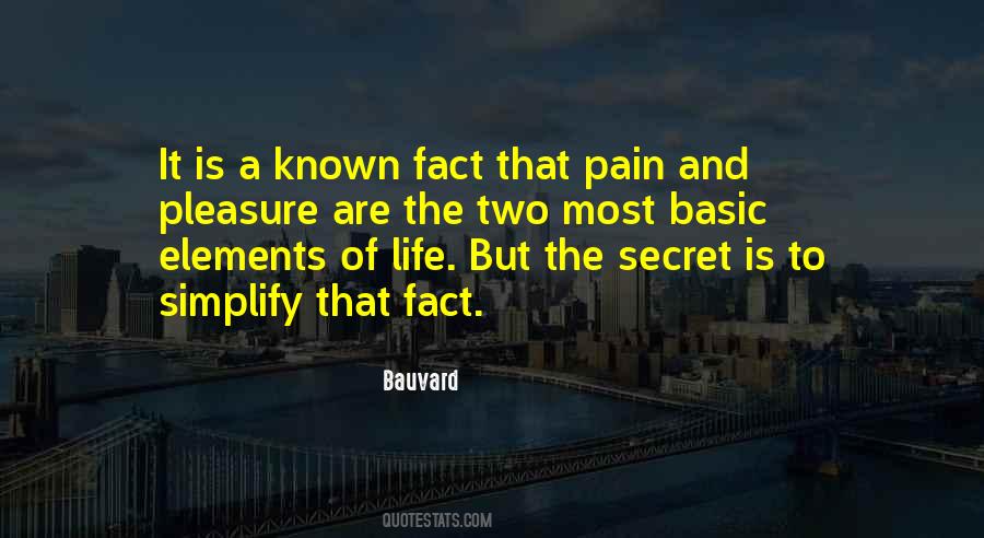 Secret Pain Quotes #286823