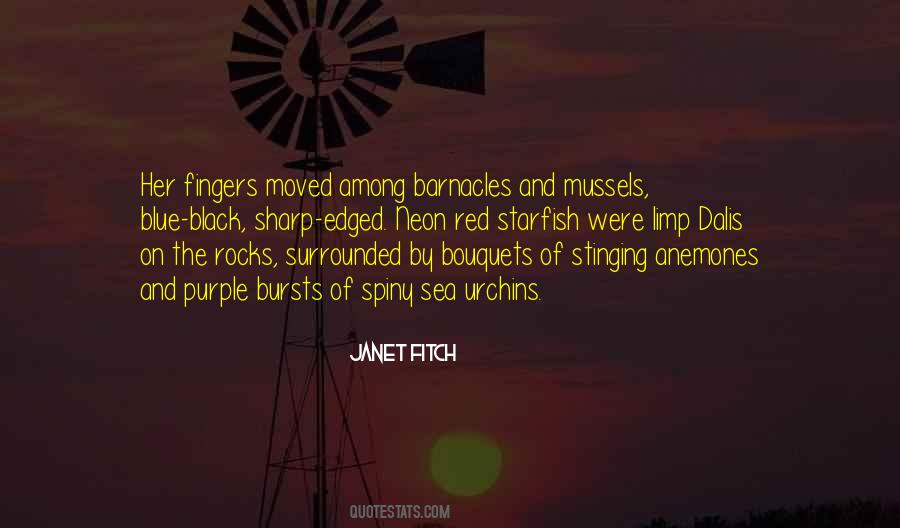 Sea Rocks Quotes #1868086