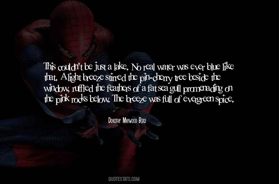 Sea Rocks Quotes #18731