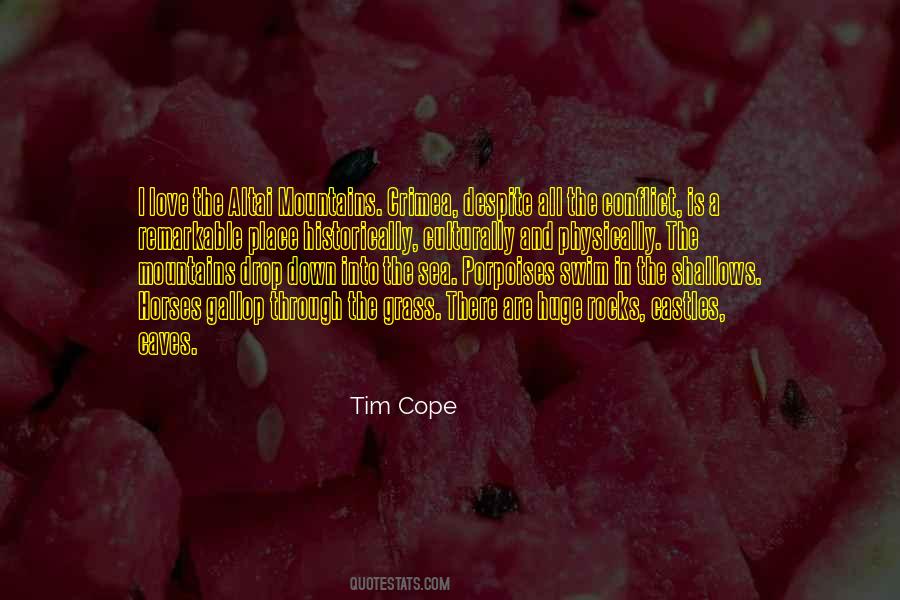 Sea Rocks Quotes #636320
