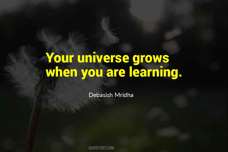 Your Universe Quotes #135777