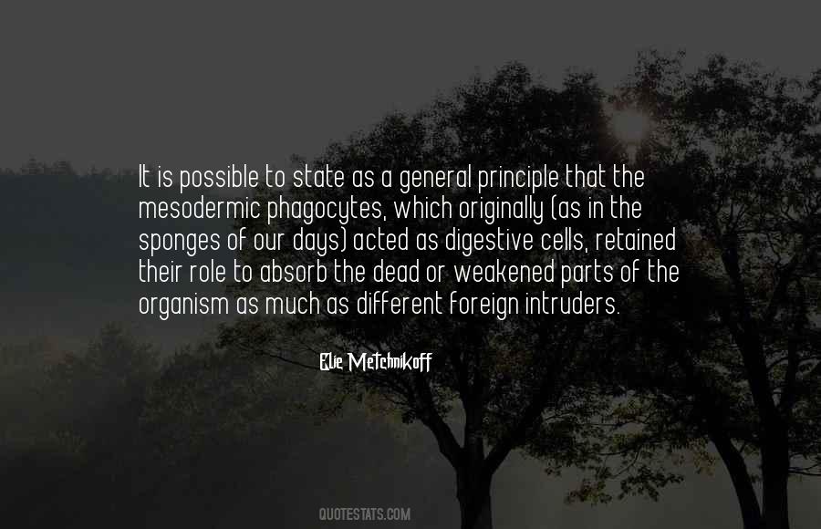 Yes It Is Possible Quotes #3982