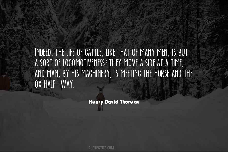 Man And His Horse Quotes #528339