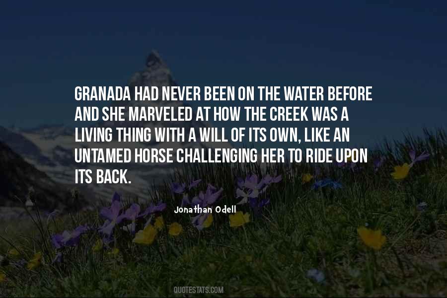 Water Ride Quotes #1127911