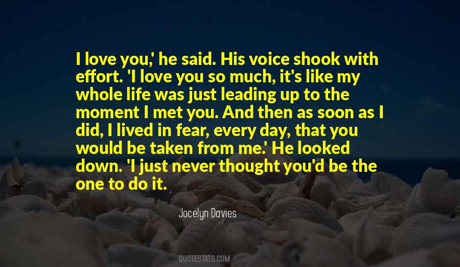 I Never Met You Quotes #1060090