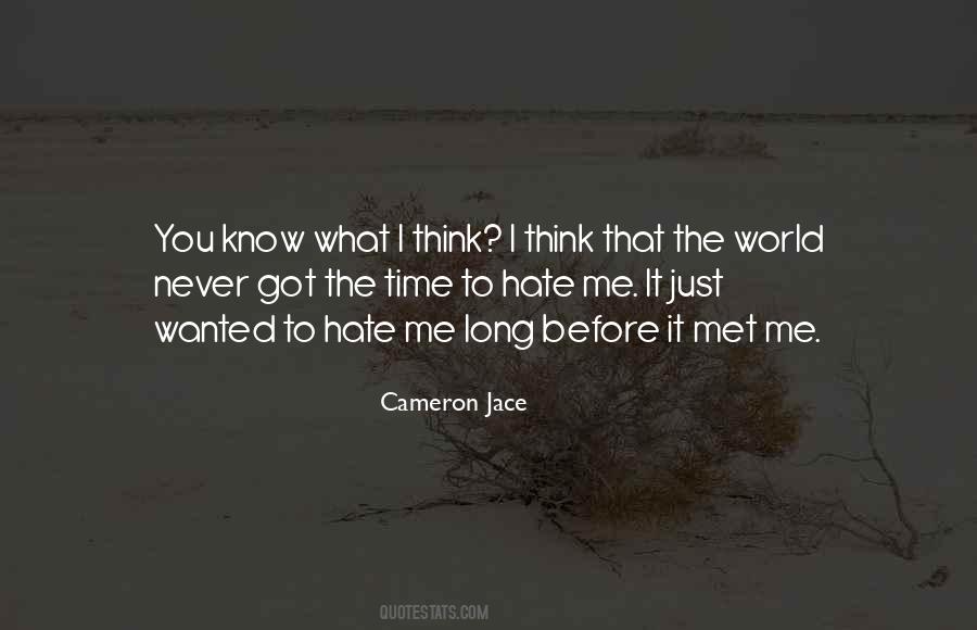 I Never Met You Quotes #1072035