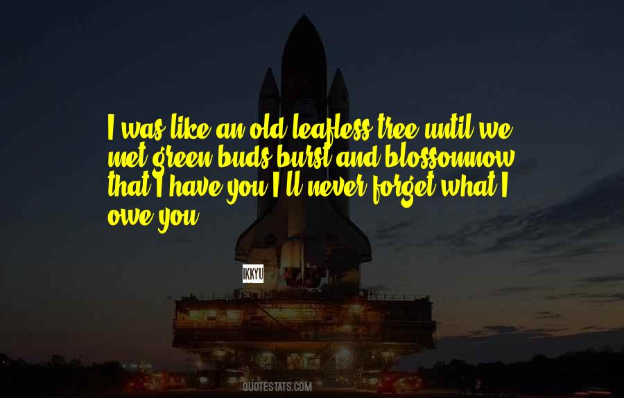 I Never Met You Quotes #1564454