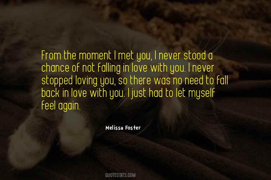 I Never Met You Quotes #923288