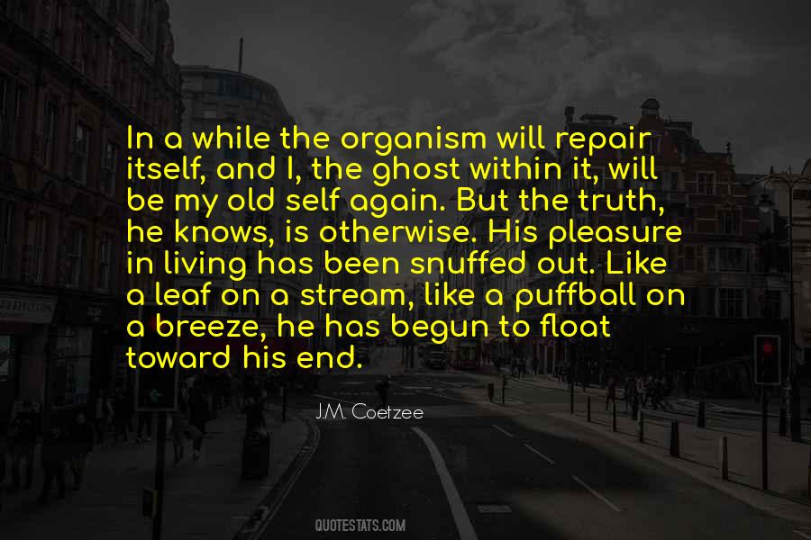 It Has Been A Pleasure Quotes #966890