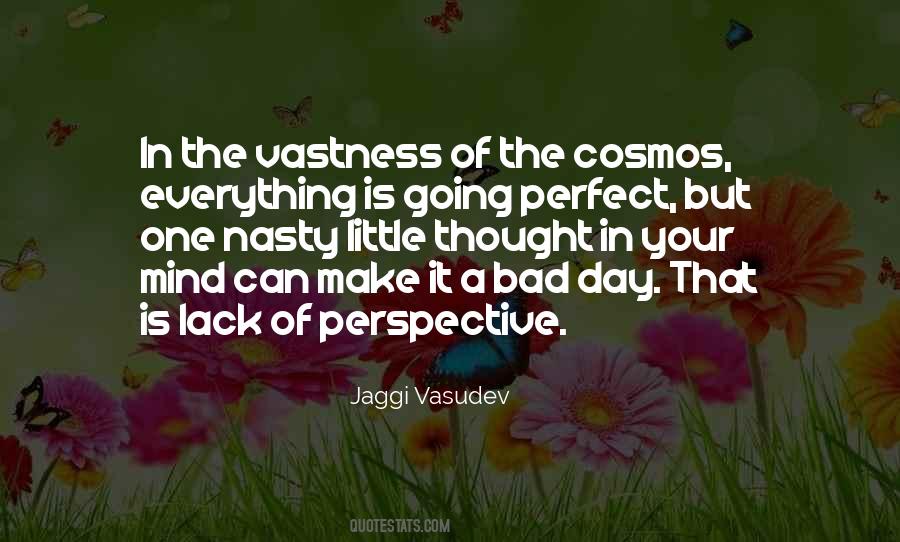 Perspective Of Love Quotes #1415468