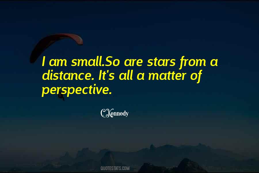 Perspective Of Love Quotes #1585815