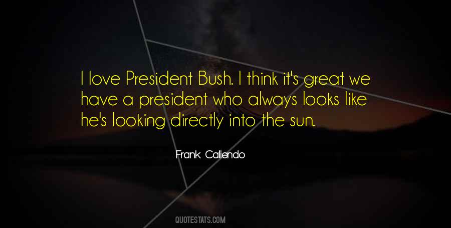 Looking Sun Quotes #664797