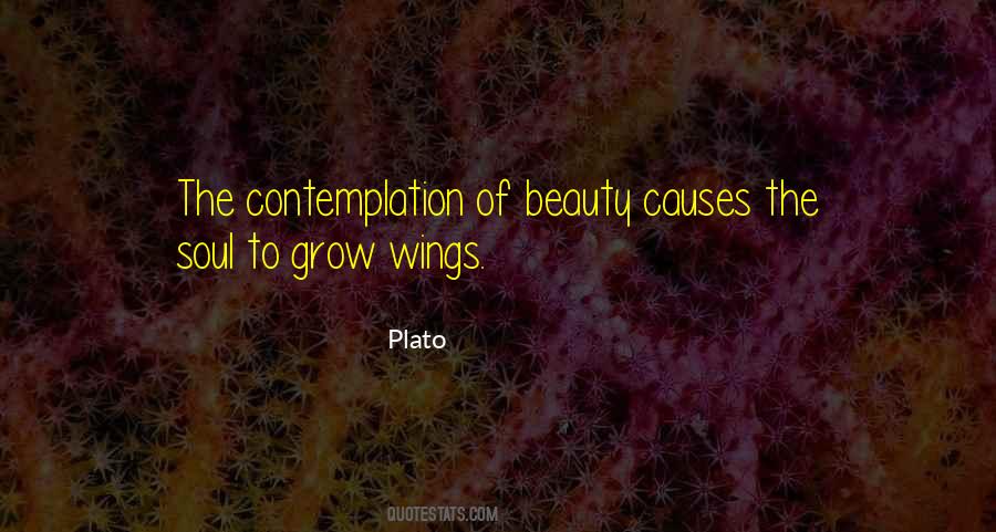 Beauty Soul Quotes #836178